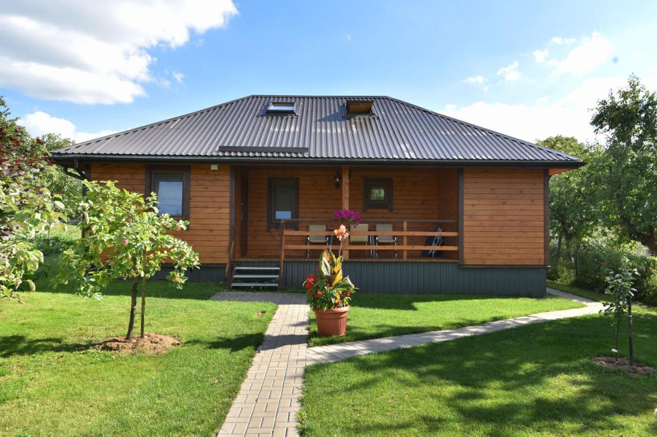 Vasarnamis Zarasuose Villa Зарасай Екстериор снимка