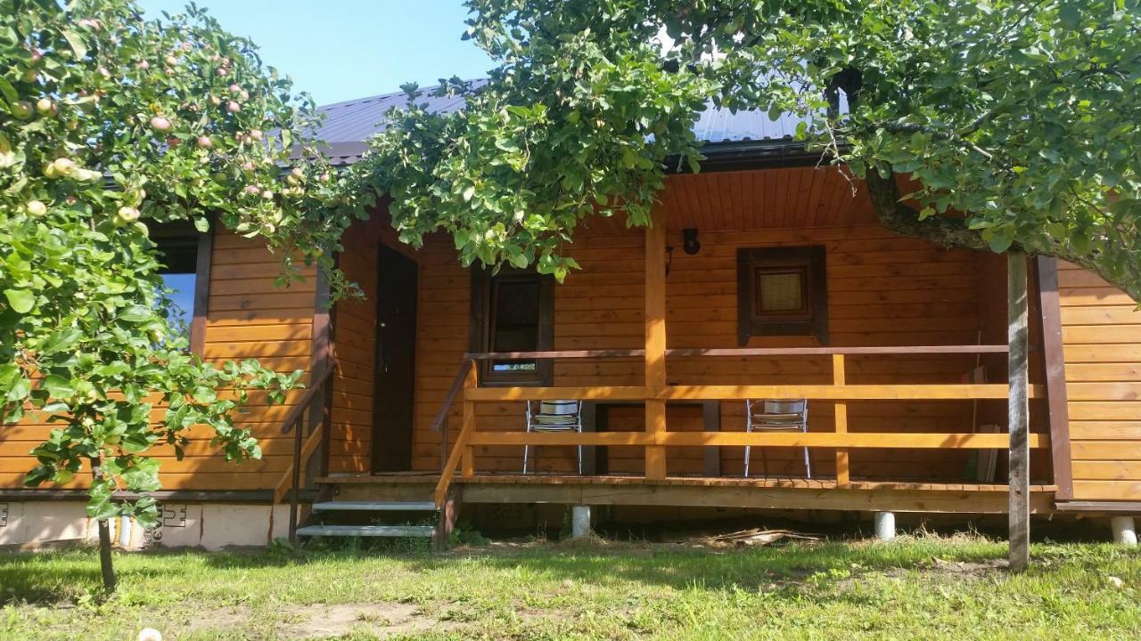 Vasarnamis Zarasuose Villa Зарасай Екстериор снимка