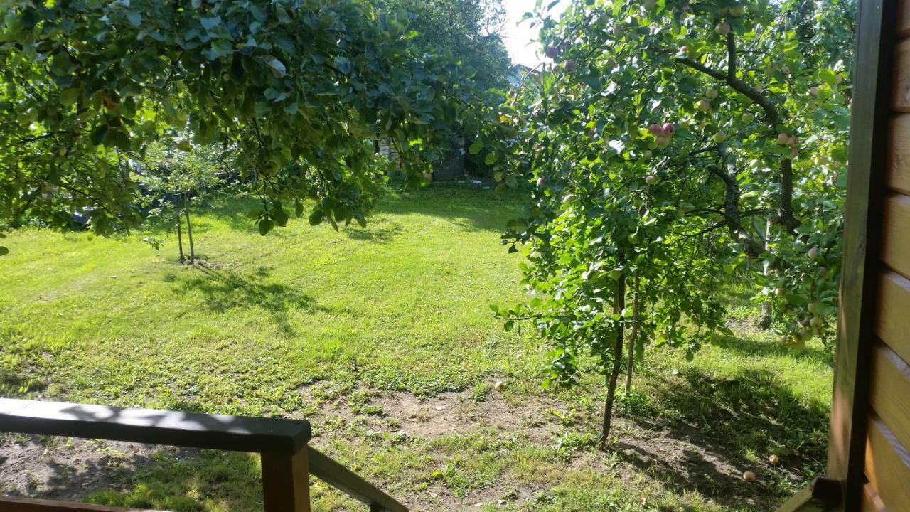 Vasarnamis Zarasuose Villa Зарасай Екстериор снимка