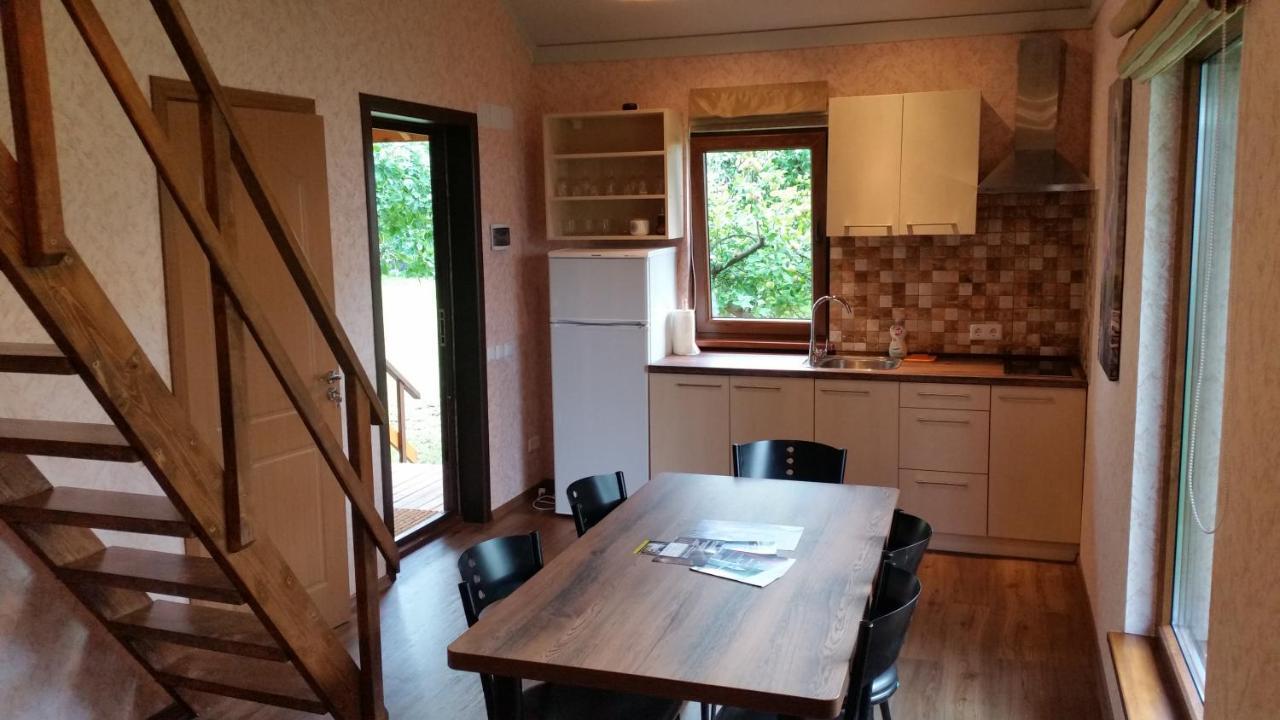 Vasarnamis Zarasuose Villa Зарасай Екстериор снимка